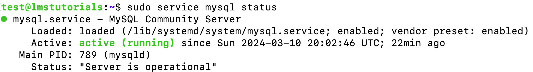 MySQL Status